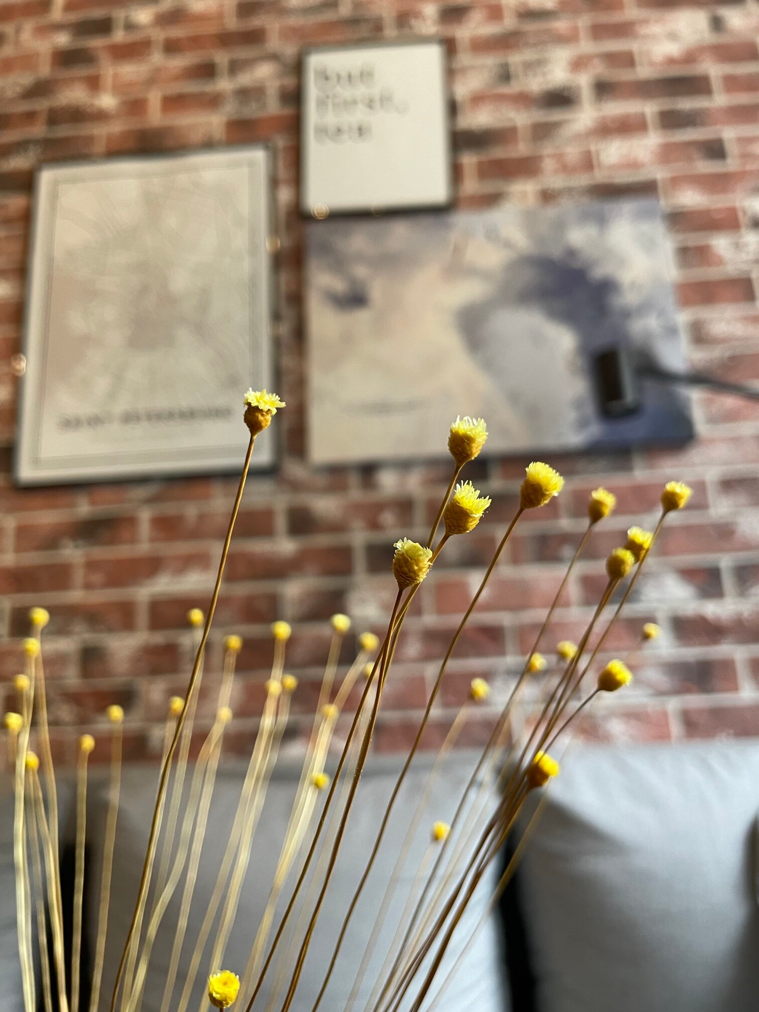 FunkyMedia – How an easy-to-use app makes guests fall in love with your hotel